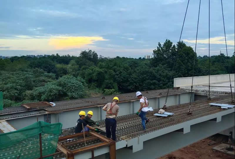 1596088377688766.jpg 3.jpg