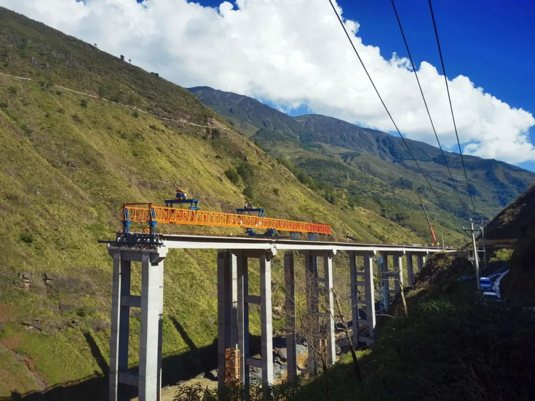 1737517812118901.jpg 1.jpg