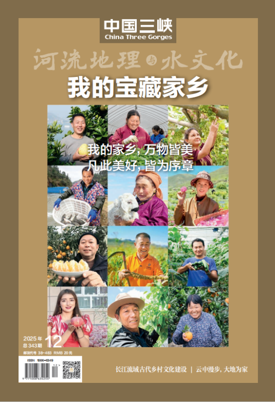 2025年第12期
